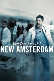 New Amsterdam New Amsterdam