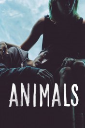 Animals Animals