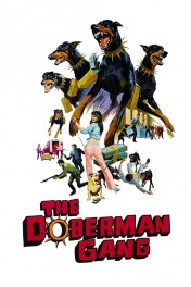download film the doberman gang 1972