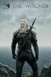 The Witcher The Witcher