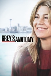 Grey's Anatomy Grey's Anatomy
