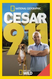 Cesar 911 Cesar 911