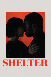 Shelter Shelter