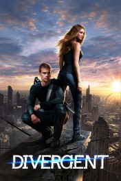 Divergent Divergent